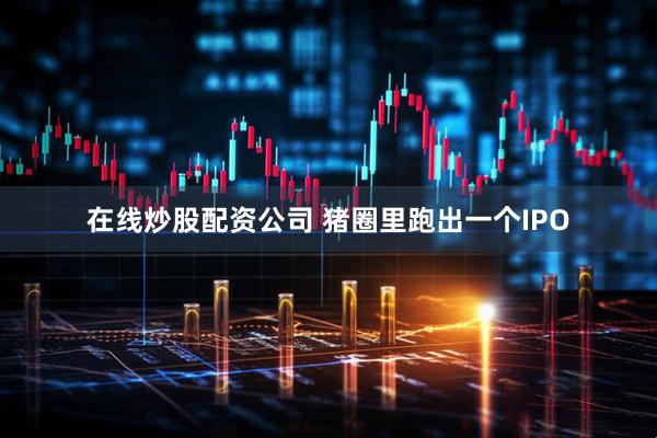 在线炒股配资公司 猪圈里跑出一个IPO