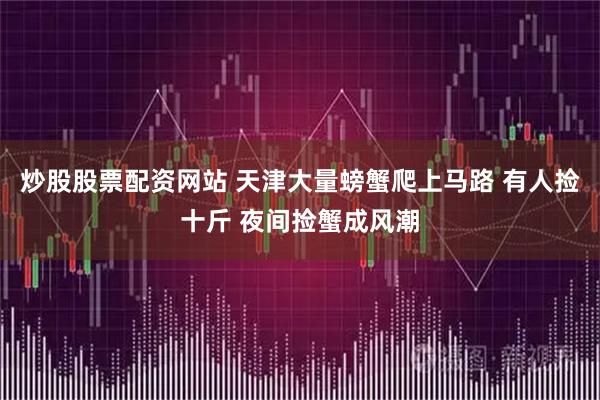 炒股股票配资网站 天津大量螃蟹爬上马路 有人捡十斤 夜间捡蟹成风潮